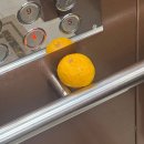 왈왈키친 | 너의 진심은 내가 아니까