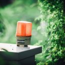 프로미자주카 이미지