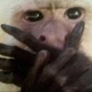 매그니유 | 공구사냥꾼의 공구리스트 / 내돈내산