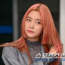 클라라헤어 이미지