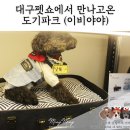 도기파크 이미지