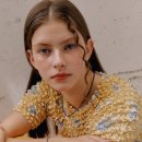 헐리우드 이미지