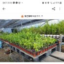 능안농장 이미지