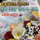 다온장례의전