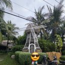 풍차 빌리지 | [아이와 함께 푸꾸옥 여행] M 빌리지 트로피컬 후기