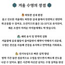 오션키즈 동대문센터 이미지