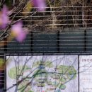 숲향기공원 화장실 | 화담숲 코스 정리, 첫 방문이라면 이쪽 코스로 가세요.(방문 후기)