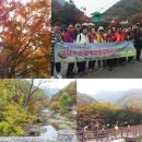 경남신체장애인복지회 창원시지부 이미지