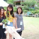 돌보목장 이미지