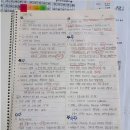 [자격증] &#39;멀티미디어콘텐츠제작전문가&#39; 필기 합격 후기(공부기간/공부법/합격후기)