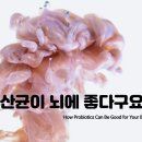 주식회사 피스팜