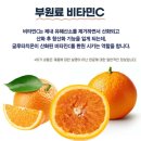 이펠 이미지
