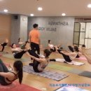 아쉬탕가살린요가
