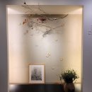 크리스마스치과의원 | 포항 오천 문덕 참예쁜e치과 만족후기!