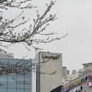 새여울초등학교 | 대전 베이커리가 맛있는 대형카페 라운지티, 신탄진역 카페