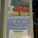 월송정 이미지