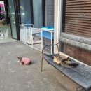 월드세차장 - 오산시 가장산업서로 23-14 | 월드세차장