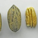 종아농장 이미지