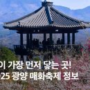 섬진마을주차장 소 이미지