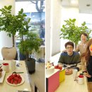 해피한 안경 이미지