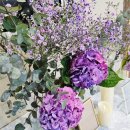 컨퍼런스 홀 이미지