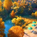 월영연못공원 이미지