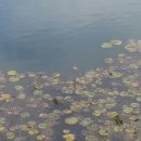 (주)엔시스템즈 이미지