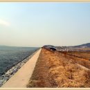 김촌저수지 이미지