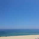 오자매