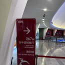 명주유리 | 14개월 아기랑 상하이 가족여행ㅣ동방명주 회전 레스토랑 후기ㅣ루짜쭈이 보행교까지