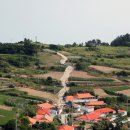 하화도 꽃섬길 민박 이미지