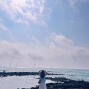 6월펜션 | 6월 제주도 여행후기, 쇠소깍 카약부터 알파카 수국 명소까지