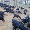 천정농장 이미지