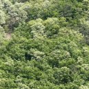 뮤지엄산(페이퍼갤리러) | (강원/원주) 오크밸리 [뮤지엄 산] 숯·물·빛이 만들어낸 공간에서 <이배: 기다리며> 전시 보고온 후기