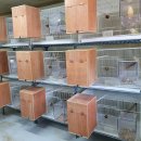 성조농장 이미지