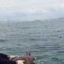 바다와거북이