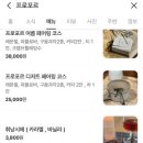 프로포르 이미지