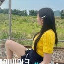 미휘월 이미지