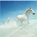 성악과 합창 이미지