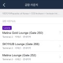맨하탄분식 | [뉴욕여행] 대한항공 인천-뉴욕(JFK) 직항 후기, 인천공항2터미널 스카이허브 라운지