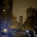 귀엽개귀엽냥 이미지