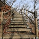 호연지기태권도장 이미지