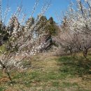 땅끝기와집 이미지