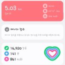 덕산 은행나무길 이미지