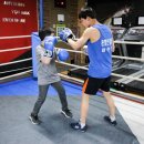 YS복싱클럽 이미지