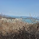 완도청소년 수련원 이미지