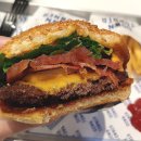 정부청사 입구(대덕대로) | 대전 정부청사역 햄버거 맛집 다운타우너 갤러리아 타임월드점