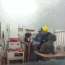 내개로와 이미지