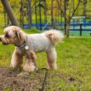 관청 근린공원 이미지