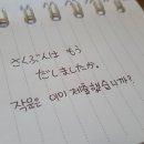 일본어회화 이미지